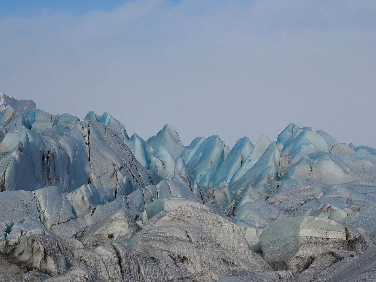 Terra aberta acima da última árvore, onde o gelo começa